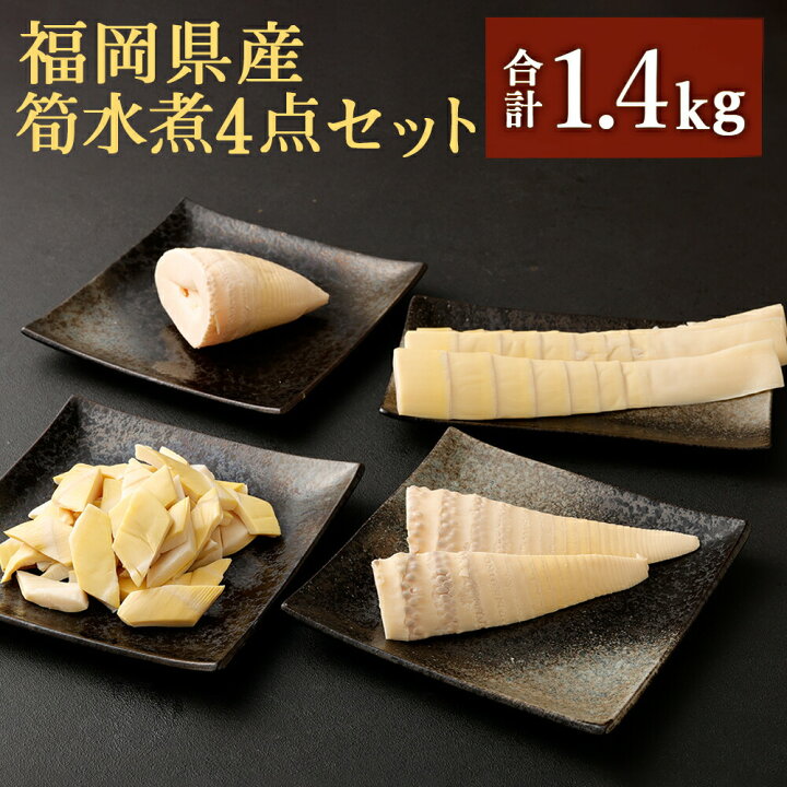 市場 ふるさと納税 たけのこご飯の素 3合用 3袋 2種 九州産