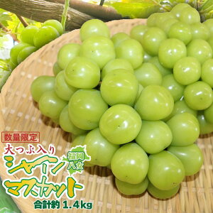 【ふるさと納税】 【先行受付】シャインマスカット 大粒 約1.4kg 4房 2026年発送 先行予約 数量限定 高糖度 厳選 果物 くだもの フルーツ ぶどう 葡萄 ジューシー 種なし 冷蔵 九州 福岡県 八女