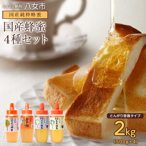 yӂ邳Ɣ[Łz̖I YI 4Zbg e500g v2kg Ƃ񂪂e^Cv I ݂͂ n`~c S ݂ 悲  pP[L [Og 퉷 ۑ ~ hАH H v[
