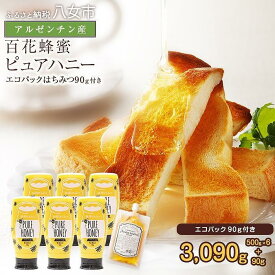 【ふるさと納税】かの蜂 ピュアハニー【AR】3kg（500g×6本） 純粋はちみつ　※エコパックはちみつ90g付き はちみつ ハチミツ 蜂蜜 ワンタッチボトル 保存食 防災グッズ