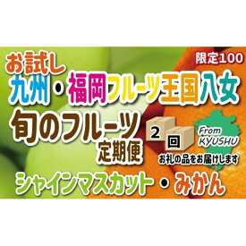 【ふるさと納税】九州・福岡フルーツ王国八女　お試し旬のフルーツ定期便【全2回】 G＜配送不可：北海道・沖縄・離島＞ シャインマスカット みかん フルーツ 旬