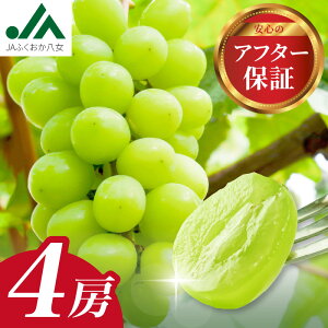 yӂ邳Ɣ[ŁzystzVC}XJbg ґ򂽂Ղ 4[ 1.4kg x18xȏ 350g×4pbN yJAӂzԂǂ Ȃ 炲ƐHׂ Â Yn iۏ ʌ 