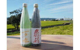 【ふるさと納税】純米大吟醸「飛形」「可也」720mlセット 酒造り 福岡県 八女市 銘醸蔵