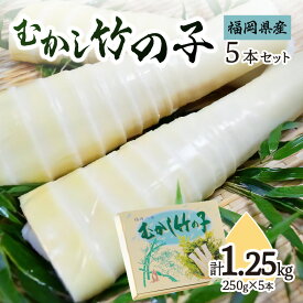 【ふるさと納税】むかし竹の子　250g×5本セット｜【出荷時期】2024年5月以降　たけのこ 筍 タケノコ