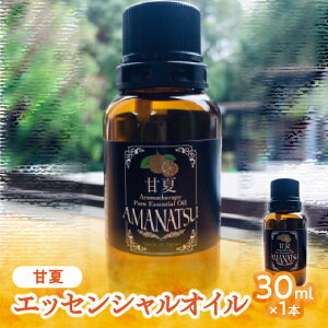 yӂ邳Ɣ[ŁzÉăGbZVICi30ml×1{j Y A} k GbZVIC IC C] É