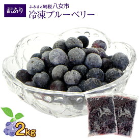 【ふるさと納税】かの蜂 国産 【訳あり】 冷凍ブルーベリー2kg （1kg×2袋） 八女市産 ブルーベリー 国産 ブルーベリー 冷凍 フルーツ 八女市特産品 ヘルシー おやつ 栄養豊富 食物繊維 ビタミンC 福岡県 八女市