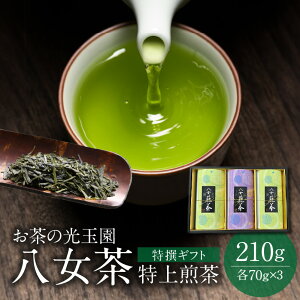 yӂ邳Ɣ[Łzy̌ʉzMtg 70g×3{Zbg    Mtg 蕨 