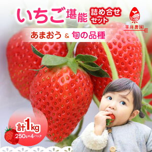 yӂ邳Ɣ[Łz\lߍ킹Zbg 250g×4pbNiv1kgjb2026N2`Ђ炢ό_ ܂   C`S t[c ʕ  lC { Y Hה