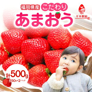 yӂ邳Ɣ[Łz肠܂ 250g×2pbNiv500gjb2025N12`Ђ炢ό_  C`S  { Ԍ ʌ fU[g t[c  s