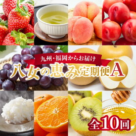 【ふるさと納税】九州・福岡からお届け！八女の恵み定期便【全10回】A ＜配送不可：北海道・沖縄・離島＞ フルーツ 定期便 もも すもも ぶどう 梨 みかん キウイ 米 はちみつ 茶 果物 おすすめ セット 産地直送 福岡県 八女市