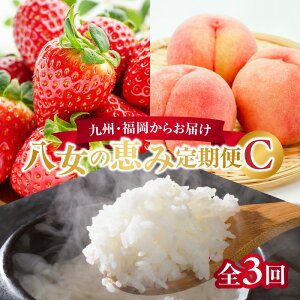 yӂ邳Ɣ[ŁzBE炨͂ǏbݒցyS3z CbzsFkCEE