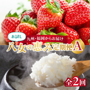 【ふるさと納税】九州・福岡からお届け!八女の恵み定期便お試し【全2回】A