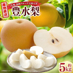 yӂ邳Ɣ[ŁzYnI (L) 5kg y2026N8`9zBEt[c zsFkCEE Ȃ iV ʕ t[c s\ fU[g { VN Â 