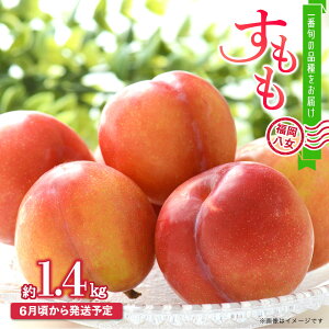 yӂ邳Ɣ[Łzy2026N6\zBEt[c璼I1.4kgbzsFkCEE ʌ  1.4kg {   X ʕ  t
