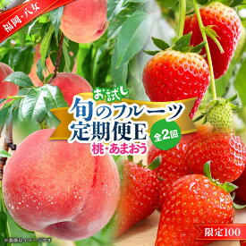 【ふるさと納税】九州・福岡フルーツ王国八女　お試し旬のフルーツ定期便【全2回】 E あまおう いちご 苺 イチゴ もも 桃 果物 フルーツ 旬 もぎたて 定期便