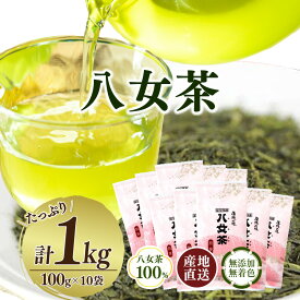 【ふるさと納税】八女茶100％ 家庭用業務用煎茶 100g×10袋 お手頃品！＜岩崎園製茶＞八女茶 煎茶 産地直送 無添加 無着色 たっぷり お手頃 家庭用 業務用 大容量 福岡県 八女市