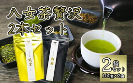 【ふるさと納税】八女茶贅沢2本セット（100g×2袋） お茶 緑茶 国産 日本茶 煎茶 かぶせ茶 伝統製法 上品 香 福岡県 八女市