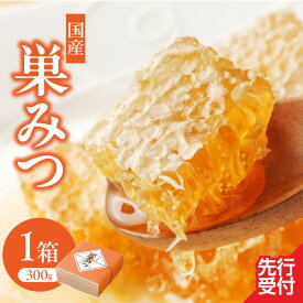 【ふるさと納税】はちみつ 国産 巣みつ 300g ミツバチ 巣 蜂蜜 鮮度 味 栄養 自然 貯蔵 福岡県 八女市