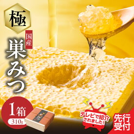 【ふるさと納税】【TVで紹介！】はちみつ 国産 極巣みつ 310g ミツバチ 巣 蜂蜜 巣みつ 自然 貯蔵 鮮度 味 栄養 極上 香り 形 福岡県 八女市