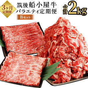 yӂ邳Ɣ[Łzy3ցz}D oGeB BZbg v2kg 3 e͂ ؂藎Ƃ ؂XCX XCX   a ؂ Ă 