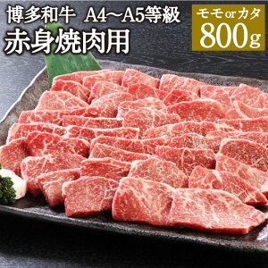yӂ邳Ɣ[Łza A4`A5 Ԑgēp 800g  J^ _ a Y a    ē Ă Y BY Y Ⓚ  yVX[p[SALE 9J