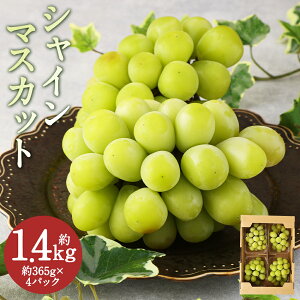 yӂ邳Ɣ[ŁzVC}XJbg v1.46kg 365g×4pbN Ԃǂ  ʕ t[c BY Y ①  y2025N9{9{ɏ\z yVX[p[SALE 9