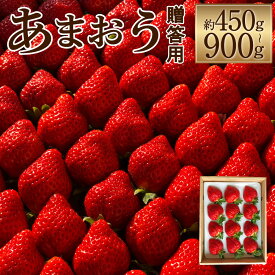 【ふるさと納税】特別栽培の濃厚完熟あまおう 贈答用 約450g/約900g 選べる内容量 いちご イチゴ 苺 くだもの 果物 フルーツ 福岡県産 九州産 パック 冷蔵 化粧箱入り ギフト 贈りもの 送料無料【2026年1月上旬～3月下旬に順次発送予定】