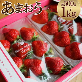 【ふるさと納税】特別栽培の濃厚完熟あまおう 約500g/約1kg 選べる内容量 1パック約250g いちご イチゴ 苺 くだもの 果物 フルーツ 福岡県産 九州産 パック 冷蔵 送料無料【2026年1月上旬～3月下旬に順次発送予定】