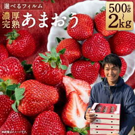 【ふるさと納税】特別栽培の濃厚完熟あまおう ＜選べる内容量・フィルム＞ 約500g～約2kg 2パック～8パック いちご 苺 イチゴ ストロベリー 果物 くだもの フルーツ あまおう ギフト ブランド デザート 国産 福岡県産 冷蔵 送料無料 【2026年12月上旬～4月下旬まで発送予定】