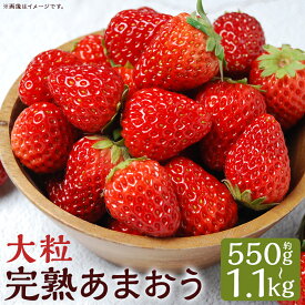 【ふるさと納税】完熟あまおう（大粒サイズ）275g×2パック / 4パック《選べる内容量》 計550g 計1100g いちご 苺 あまおう 果物 フルーツ 完熟 大粒 減農薬 旬の果物 旬のフルーツ 福岡 福岡県 筑後市【2026年1月上旬から3月下旬頃発送予定】