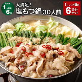 【ふるさと納税】【定期便】【1ヶ月毎6回】大満足！塩もつ鍋 30人前 計6セット（1セット×6回） モツ鍋 ホルモン鍋 セット 牛もつ 濃縮塩スープ 鷹の爪 すり胡麻 チャンポン麺 牛小腸 シマ腸 冷凍 福岡県 筑後市 送料無料