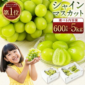 【ふるさと納税】【選べる配送月/内容量】農園直送 シャインマスカット 約1.2kg/約1.8kg/約2.4kg/約5kg 12000円 ～ 45000円 1万2千円 ～ 4万5000円 フルーツ 果物 葡萄 ぶどう 種なし 福岡県産【2026年8月上旬～10月上旬に順次発送予定】