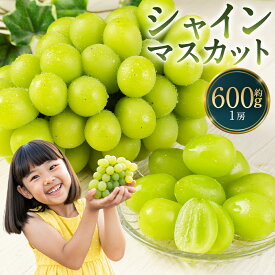 【ふるさと納税】【選べる配送月/内容量】農園直送 シャインマスカット 約600g/約1.2kg/約1.8kg/約2.4kg/約5kg 9000円 ～ 45000円 9千円 ～ 4万5000円 フルーツ 果物 葡萄 ぶどう 種なし 福岡県産【2026年8月上旬～10月上旬に順次発送予定】