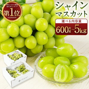 yӂ邳Ɣ[ŁzyIׂzz_ VC}XJbg 600g/1.2kg/1.8kg/2.4kg/5kg Iׂe t[c ʕ  Ԃǂ Ȃ Y BY y2025N8{`1