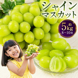 yӂ邳Ɣ[ŁzyIׂz/eʁz_ VC}XJbg 600g/1.2kg/1.8kg/2.4kg/5kg 9000~ ` 45000~ 9~ ` 45000~ t[c ʕ  Ԃǂ Ȃ Yy2026N8