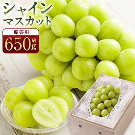 【ふるさと納税】【贈答用】福岡県産 シャインマスカット 糖度18度以上・大粒15g以上 桐箱入り 650g前後（1房）/ 冷蔵当日発送 マスカット 果物 フルーツ 大粒 先行予約 先行 プレミアム 贈答 ギフト 贈り物 福岡 福岡県 筑後市 【2026年8月上旬〜9月上旬発送予定】