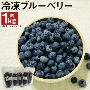 yӂ邳Ɣ[ŁzⓀu[x[ 200g×5pbN v1kg  u[x[ ʕ t[c Y }sY BY Ⓚ y2025N8{菇\z yVX[p[SALE