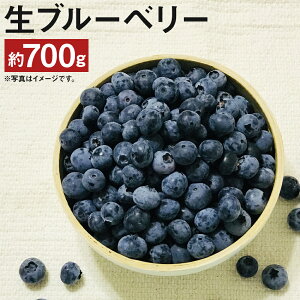 yӂ邳Ɣ[Łzu[x[ 350g×2pbN v700g u[x[ ʕ t[c Y }sY BY ① y2026N7{`9{\z