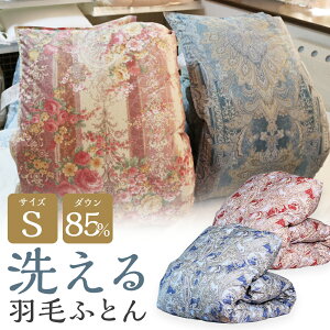【ふるさと納税】訳あり 洗える羽毛ふとん 本掛け シングル 2色から選べる ピンク・ベージュ系/ブルー・グリーン系 1kg/1.2kg/1.4kg 選べる羽毛量 ダウン85% 抗菌・防臭ダウン使用 専用ケース付
