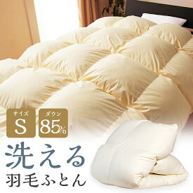 【ふるさと納税】訳あり 洗える羽毛ふとん 本掛け シングル アイボリー 1kg/1.2kg/1.4kg 選べる羽毛量 ダウン85% 抗菌・防臭ダウン使用 節電対策 専用ケース付き 羽毛ふとん 羽毛布団 布団 掛け布団 寝具 送料無料
