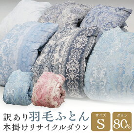 【ふるさと納税】訳あり 羽毛ふとん 本掛け リサイクルダウン シングル 色柄おまかせ 充填量1.1kg ダウン80% 再生ダウン使用 専用ケース付き 節電対策 羽毛布団 布団 掛け布団 寝具 送料無料