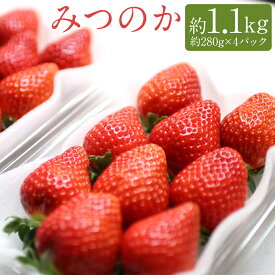 【ふるさと納税】希少な地元産いちご みつのか 合計約1.1kg 約280g×4パック ランキング1位獲得 希少品種 いちご 果物 フルーツ 苺 福岡県産 九州産 送料無料 【2025年12月下旬～2026年3月下旬に順次発送予定】
