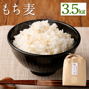 yӂ邳Ɣ[Łz 3.5kg    wV[ H@ _CGbg ͔|Ԓ_sgp BY Y Y  yVX[p[SALE 9J