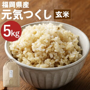 yӂ邳Ɣ[ŁzY C  5kg  BY ͔|Ԓ엿E_Eܕsgp y2025N11{菇\z