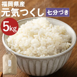 yӂ邳Ɣ[ŁzY C Â 5kg  BY Â 7 ͔|Ԓ엿E_Eܕsgp y2025N11{菇\z