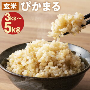 �y�ӂ邳�Ɣ[�Łz�y�V�Đ�s�\��z��A�~���[�X�� �҂��܂� ���� 3kg/5kg �I�ׂ���e�� �ۑ��ܕt�� ���� �͔|���Ԓ����_�� ��B�Y �������Y ���������y2025�N11����{��菇�������\��z