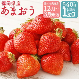 【ふるさと納税】【選べる発送月】福岡県産 あまおう 約540g/約1kg 選べる内容量 1パック約270g 果物 フルーツ いちご 苺 福岡県産 九州産 送料無料