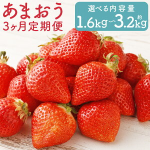 yӂ邳Ɣ[Łzy3ցzY ܂ v1.6kg/v3.2kg Iׂe 1pbN270g 3񂨓͂ ʕ t[c   Y BY  y2026N1{`3{