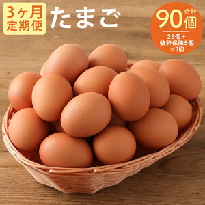 yӂ邳Ɣ[Łzy3ցzl̑D ܂ 30(25{jۏ5)×3 3  { }s  ① 