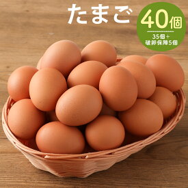【ふるさと納税】王様の大好物 たまご 40個(35個＋破卵保障5個) 卵 鶏卵 筑後市 福岡県 冷蔵 送料無料